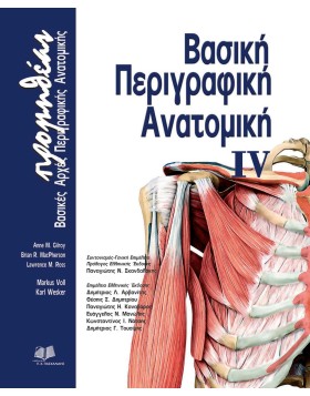 Προμηθέας, Βασική περιγραφική ανατομική Δ: Βασικές Αρχές Περιγραφικής Ανατομικής