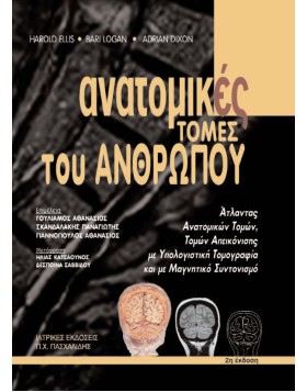 Ανατομικές τομές του ανθρώπου