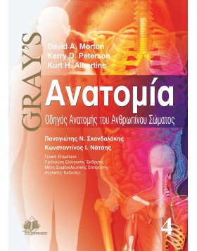 Gray's ανατομία Δ: Οδηγός Ανατομής του Ανθρώπινου Σώματος