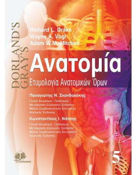 Gray's ανατομία Ε