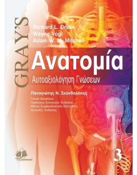 Gray's ανατομία Γ