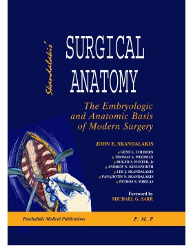 Surgical Anatomy