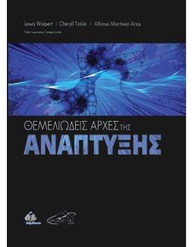 Θεμελιώδεις Αρχές της Ανάπτυξης